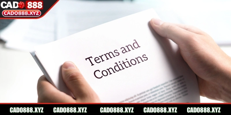 Các quy định chính cần nắm vững khi tham gia