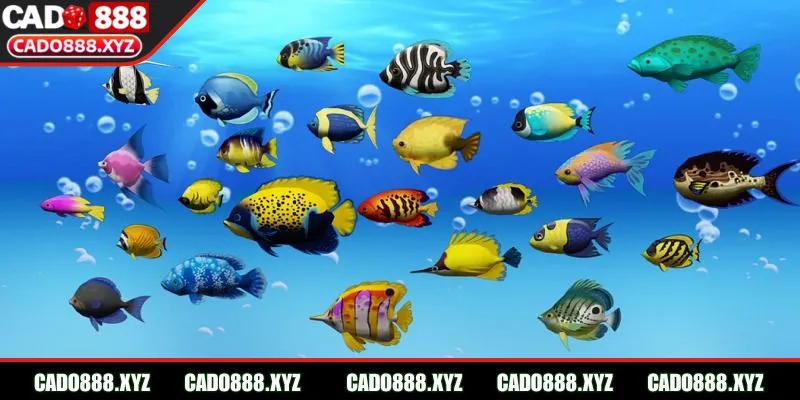 Game Bắn Cá Biển Sâu xây dựng không gian rộng rãi, đẹp mắt