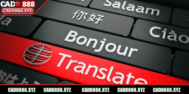 Chính sách tương tác với giao diện đa dạng ngôn ngữ