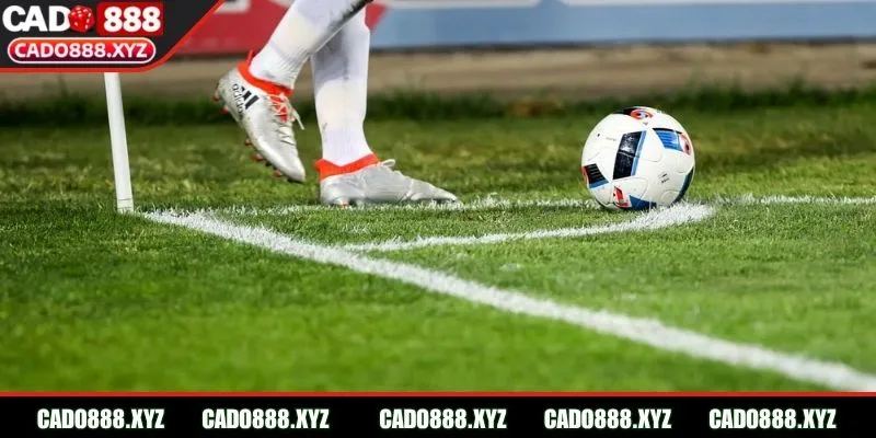 Cược tài xỉu theo con số nhà cái đưa ra chọn trận đấu cụ thể