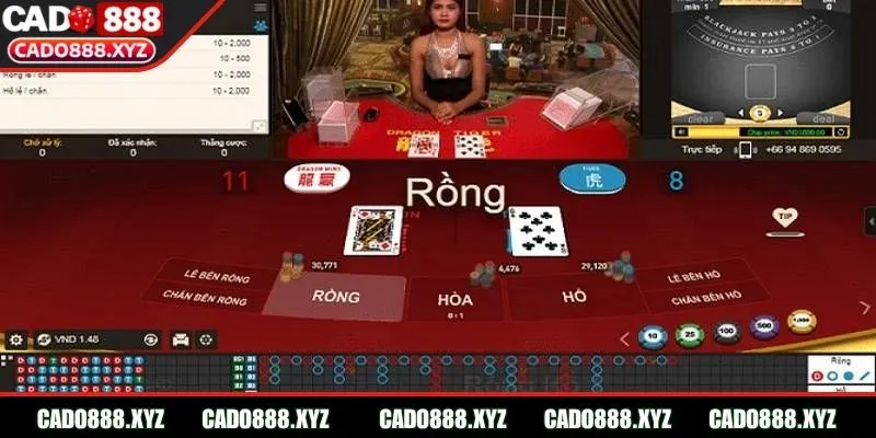 Rồng Hổ Cado888 không yêu cầu tính toán