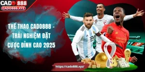 Thể Thao Cado888 – Trải Nghiệm Đặt Cược Đỉnh Cao 2025